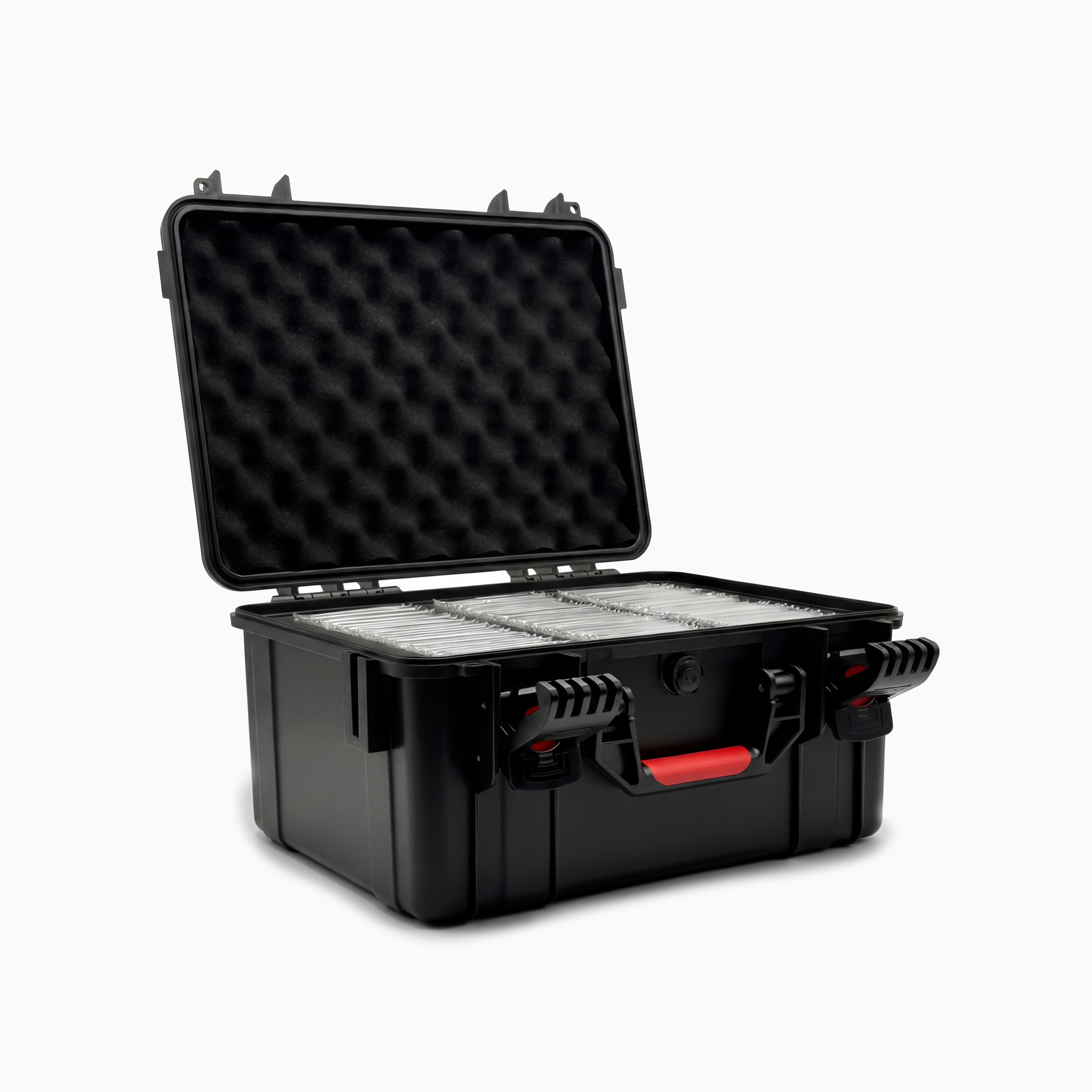 Sentinel Case